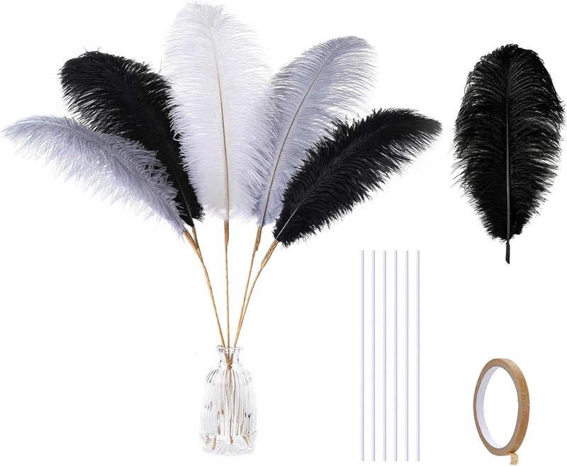 Holmgren Black White Grey Ostrich Feathers - 20pcs Making Kit 22 Inch Ostrich Feathers Bulk for Vase, Floral Arrangement, Wedding Party Centerpieces and Home Decorations - Image 1